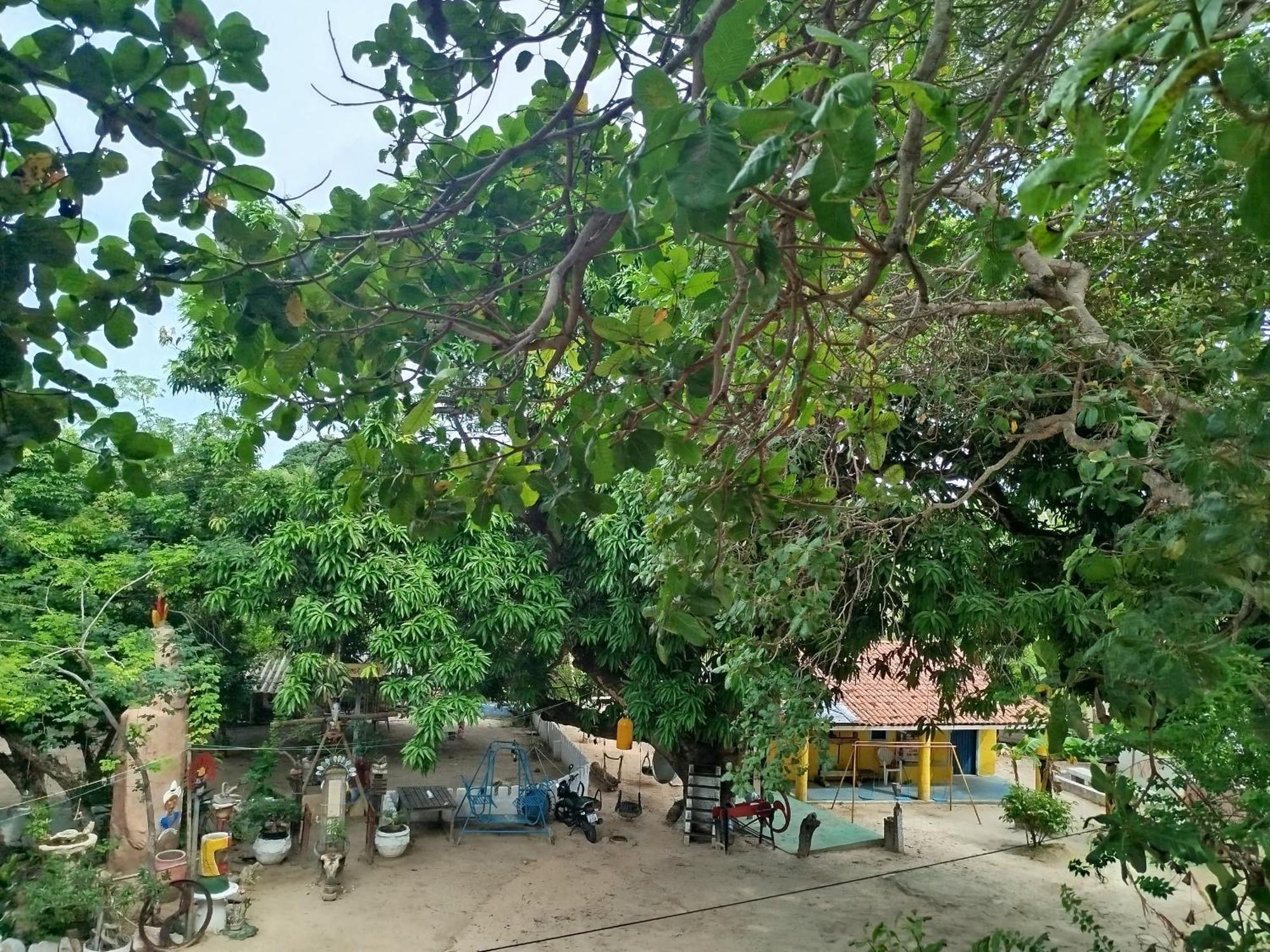 Hospedaria Camarinha Fulni-O Eusebio Экстерьер фото